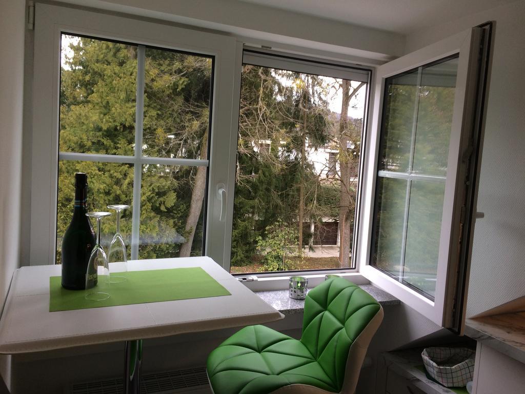 Apartment Deluxe באדן-באדן מראה חיצוני תמונה